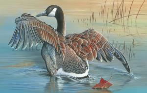 Mike Brown Named Winner Of The 2015 Iowa Duck Stamp Competition Mike Brown Named Winner Of The 2015 Iowa Duck Stamp Competition